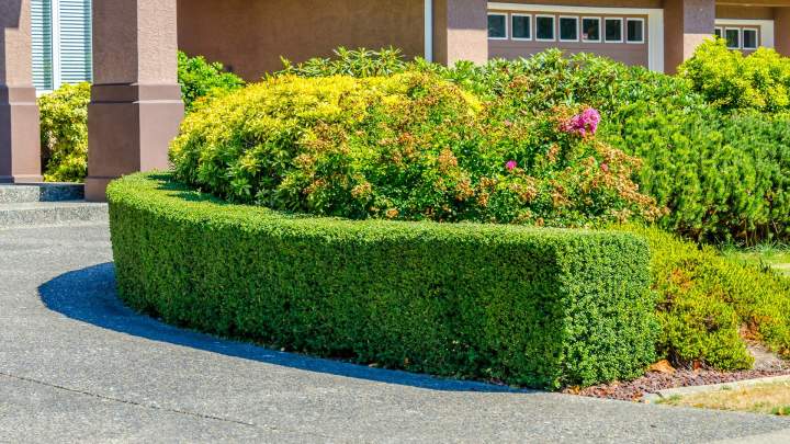 Le professionnel qu’il vous faut pour embellir votre espace extérieur